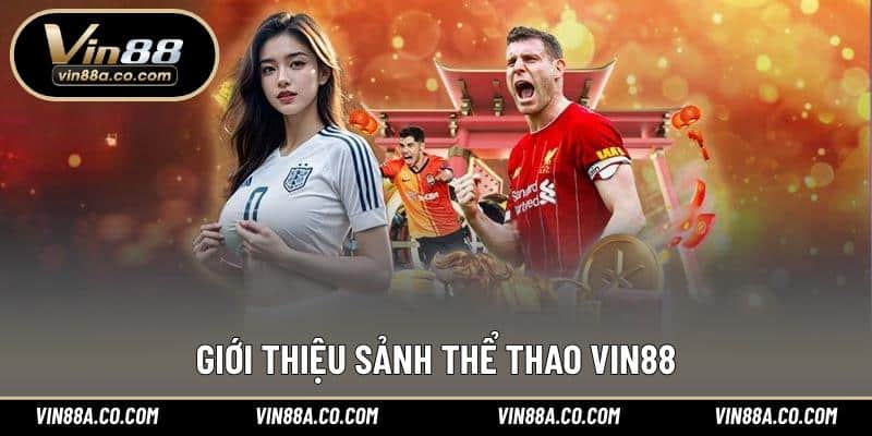 Giới thiệu sảnh thể thao Vin88