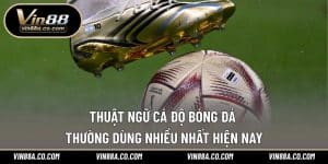 Thuật Ngữ Cá Độ Bóng Đá Thường Dùng Nhiều Nhất Hiện Nay