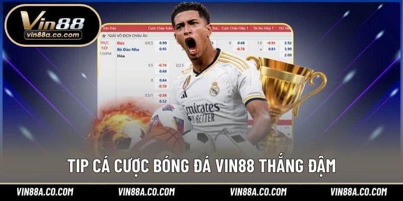 Tip cá cược bóng đá Vin88 thắng đậm